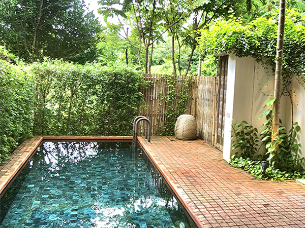 Piscina privata della villa di lusso nel quartiere Prati, zona Vaticano Roma