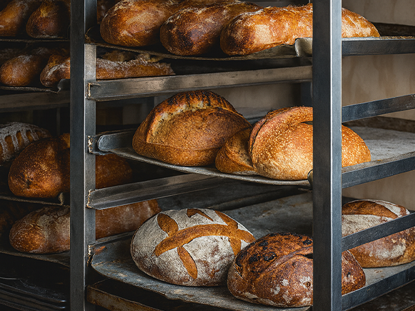 panetteria forno del ghetto quartiere ebraico roma