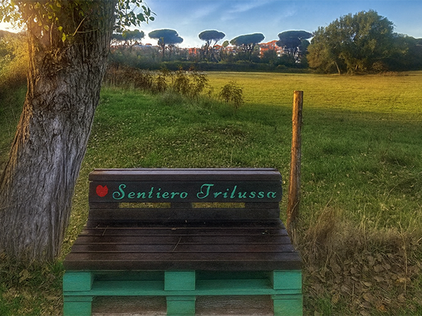 immerso nella natura sentiero trilussa vitinia